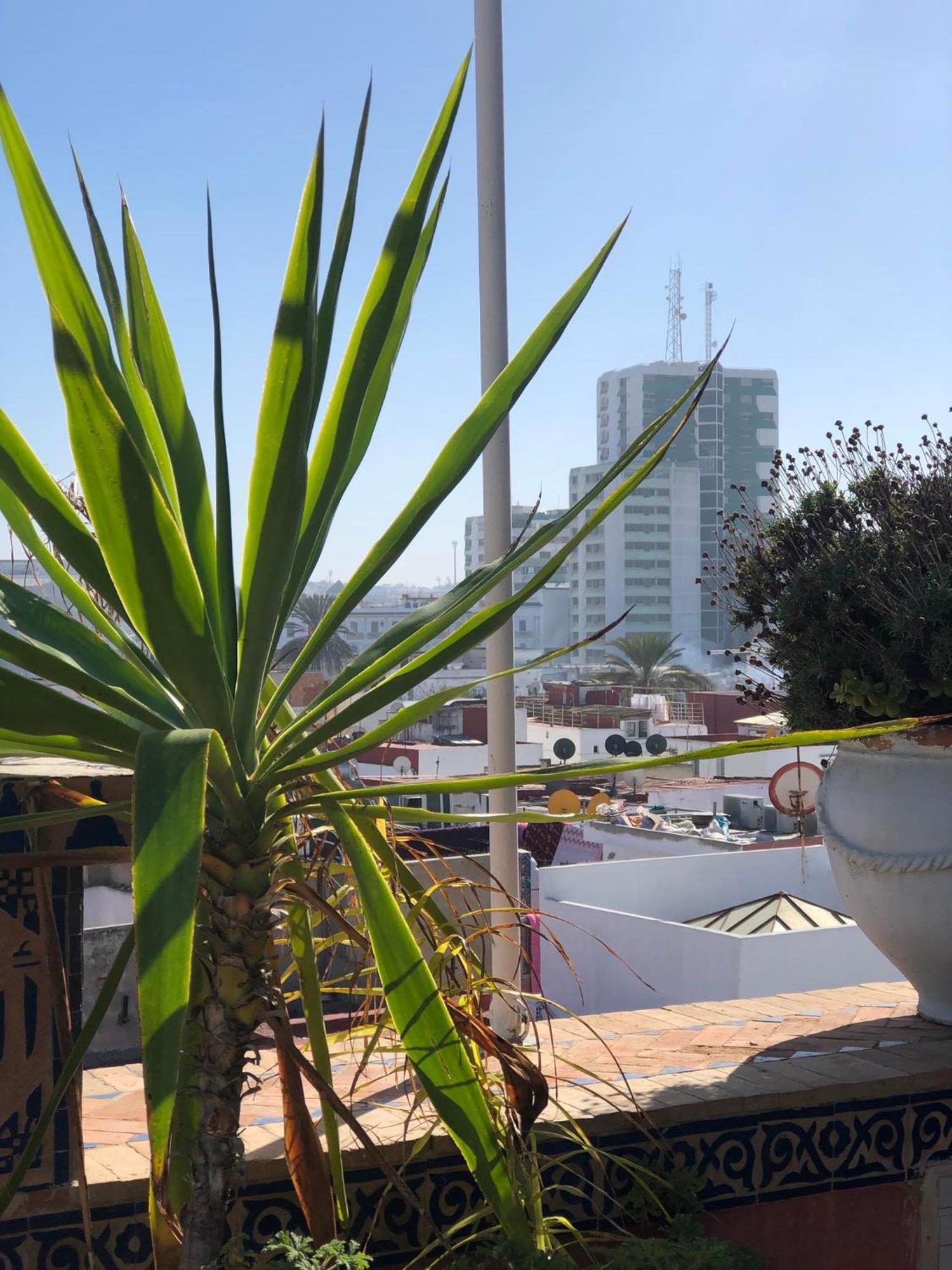 Riad Razoli Sidi Fateh Ραμπάτ Εξωτερικό φωτογραφία
