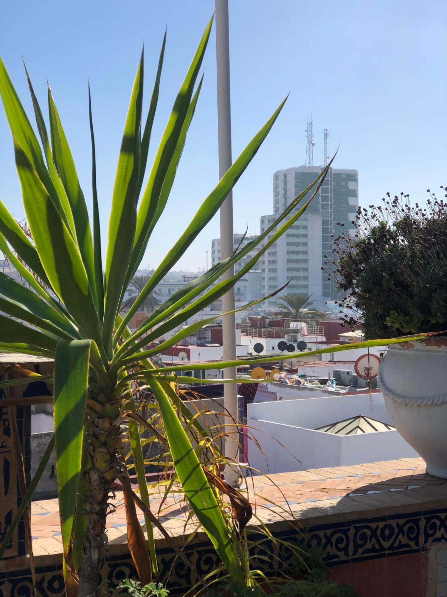 Riad Razoli Sidi Fateh Ραμπάτ Εξωτερικό φωτογραφία